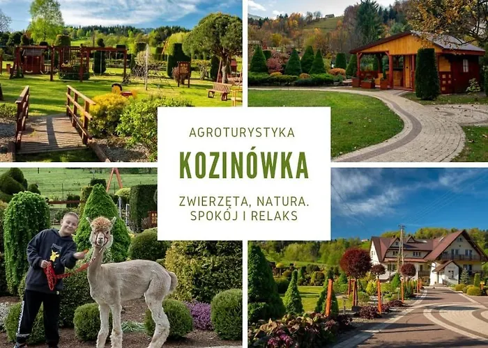 Kozinowka
